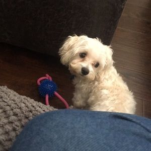 Meet your Posher, Kana